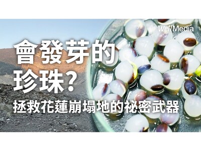 會發芽的珍珠！宜蘭大學研發「種子造粒」技術 無人機空投助山林復育圖片